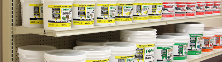 Store Shelf