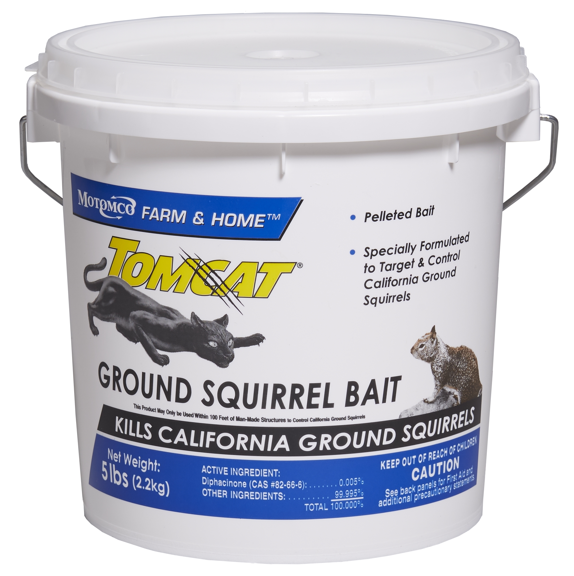 Baiting a squirrel trap discount