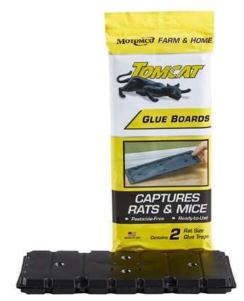 Motomco® Tomcat Glue Traps (4-pack)